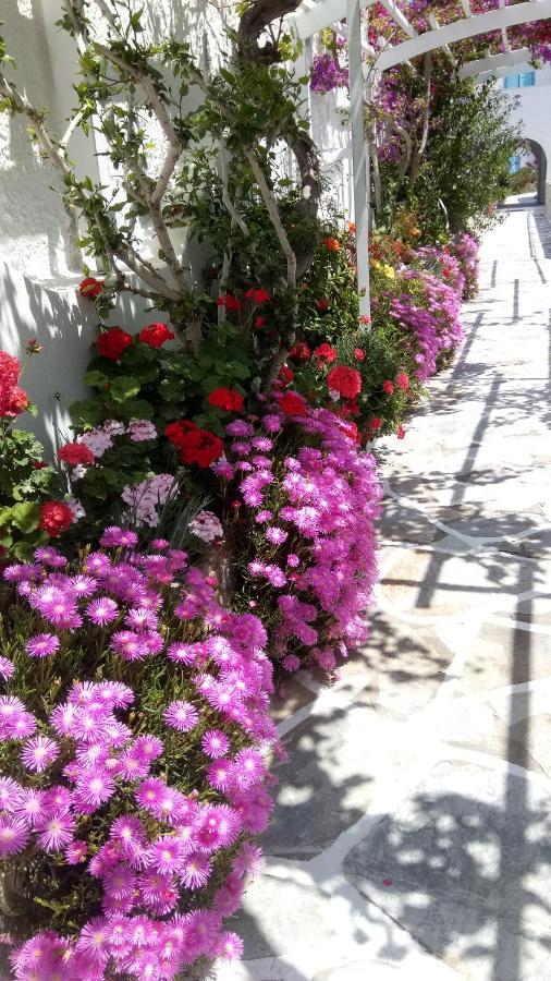 Mare Monte Hotel Chora  Exterior photo